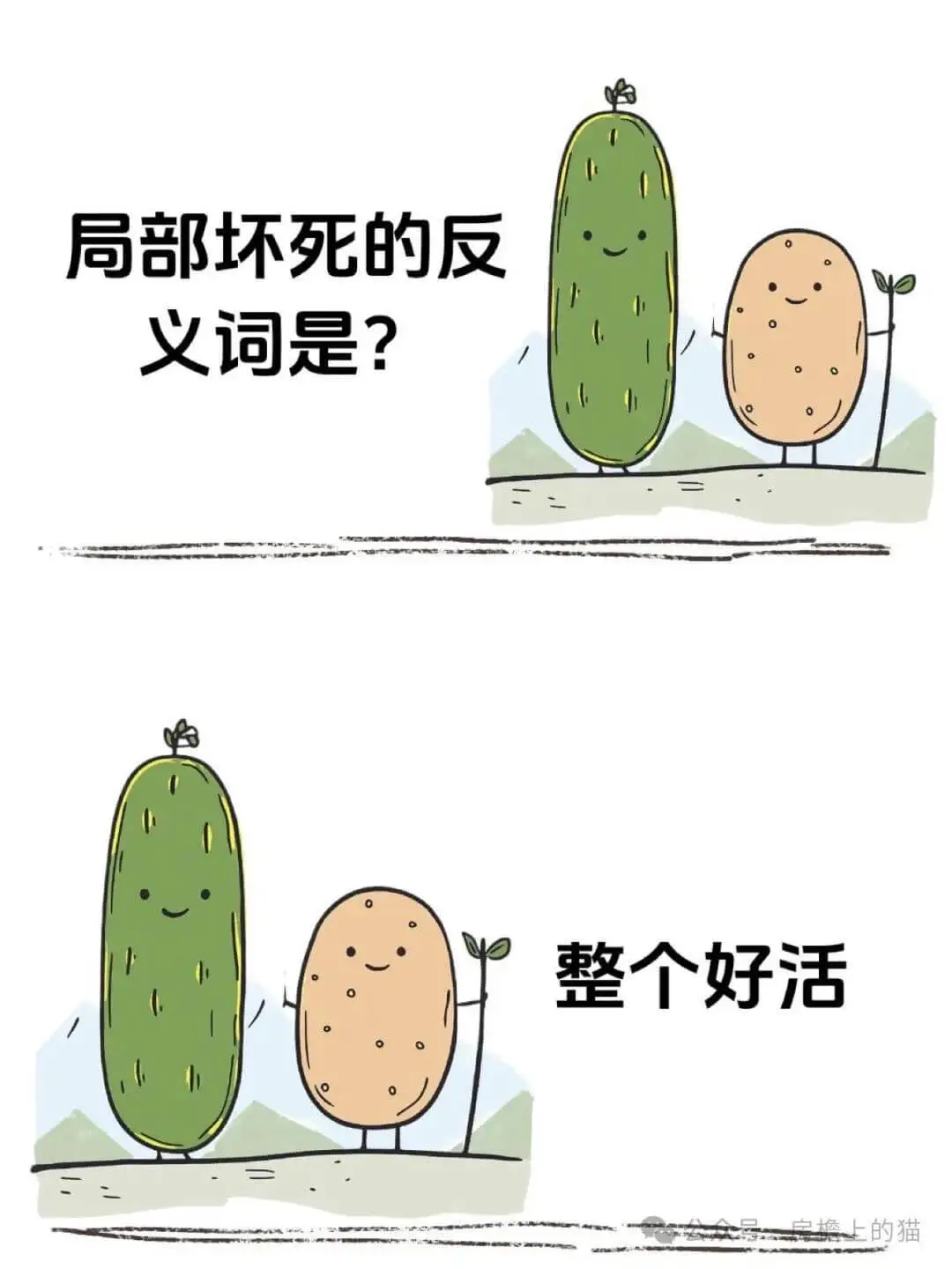 局部坏死的反义词是：整个完好