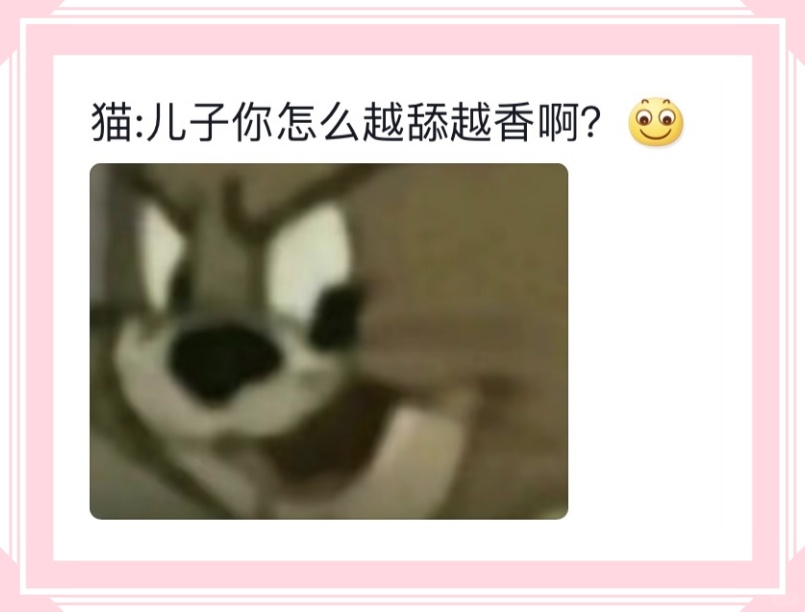 猫:儿子你怎么越舔越香啊?