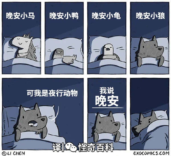 晚安小马晚安小鸭晚安小龟晚安小狼我说可我是夜行动物晚安译怪奇