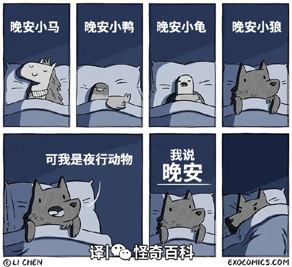 晚安小马晚安小鸭晚安小龟晚安小狼我说可我是夜行动物晚安译怪奇