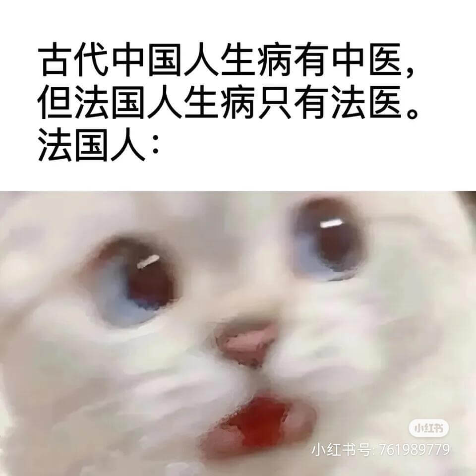 古代中国人生病有中医但法国人生病只有法医法国人：小红书小红书