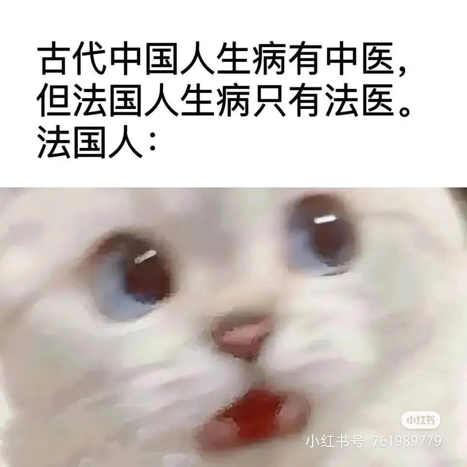 古代中国人生病有中医但法国人生病只有法医法国人：小红书小红书