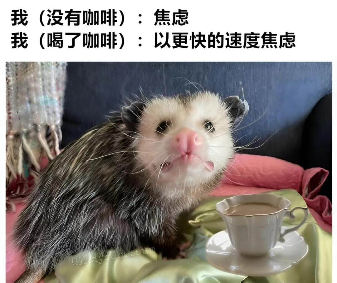 我（没有咖啡）：焦虑我（喝了咖啡）：以更快的速度焦虑