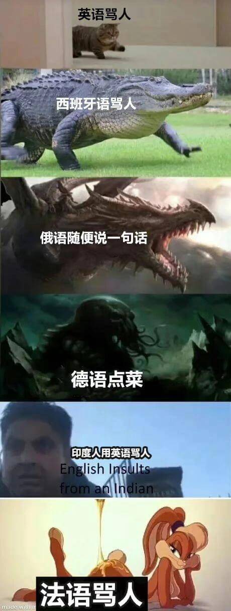 英语骂人西班牙语骂人俄语随便说一句话德语点菜印度人用英语骂人