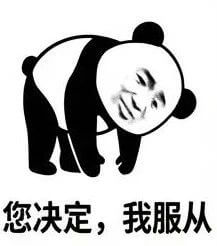 您决定，我服从