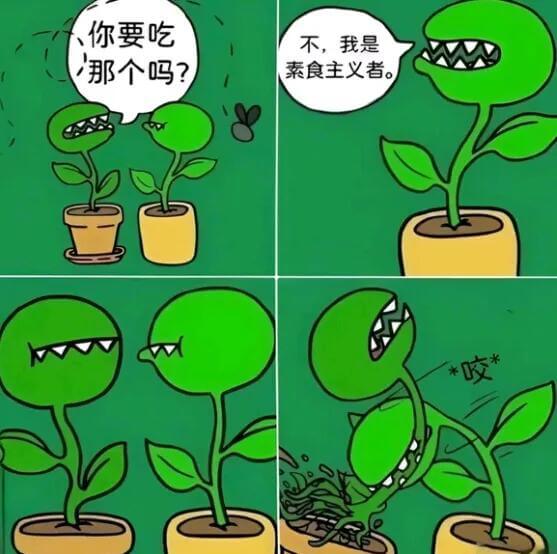 你要吃不，我是素食主义者。