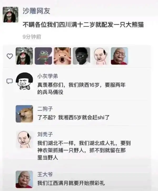 不瞒各位，我们四川满十二岁就配发一只大熊猫。小灰学弟真羡慕你