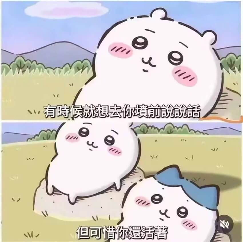 有时候就想去你填前说说话但可惜你遐活著