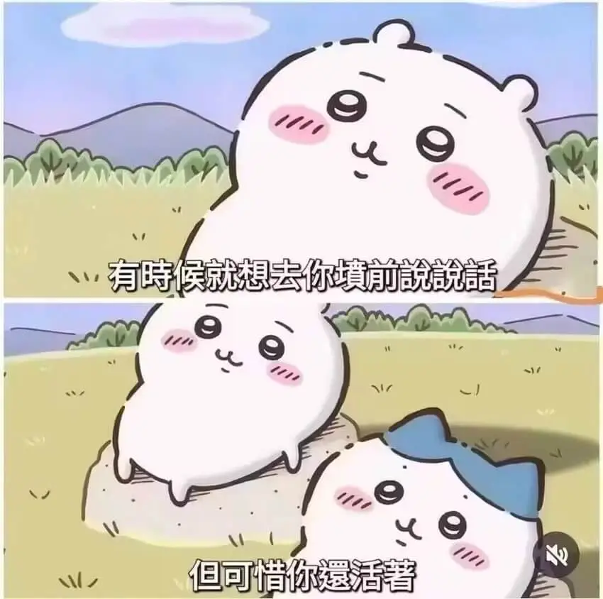 有时候就想去你填前说说话但可惜你遐活著
