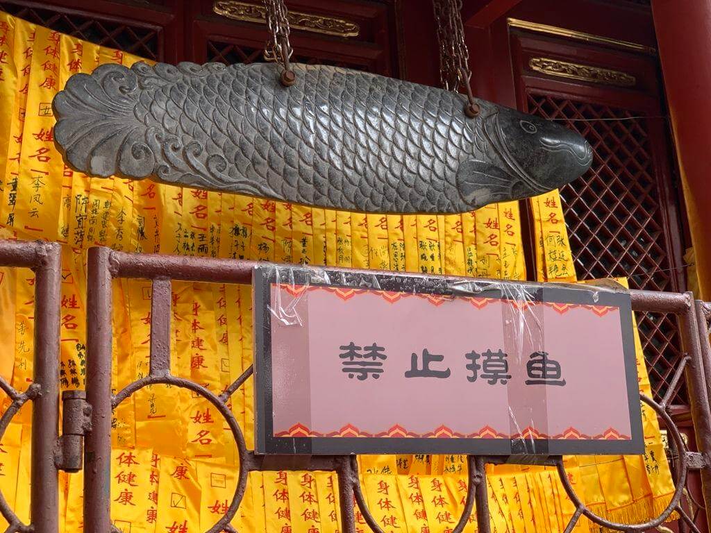 姓名本建康羊先禁止摸鱼姓名身体健康奉建康身体健康身体健康身体