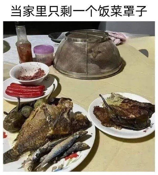 当家里只剩一个饭菜罩子