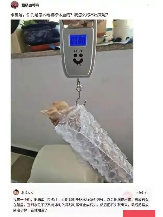超级凶鸭鸭求皮解，你们是怎么给猫称体重的？我怎么称不出来呢？