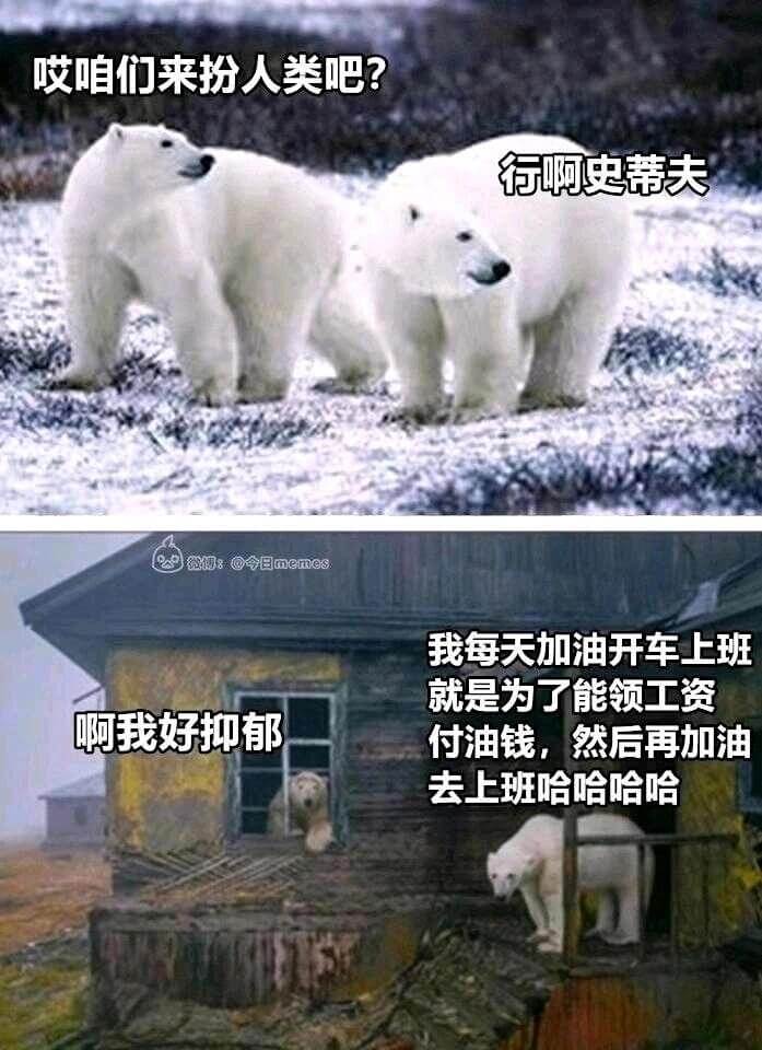 哎咱们来扮人类吧？行啊史蒂夫微n：@今日memes我每天加油