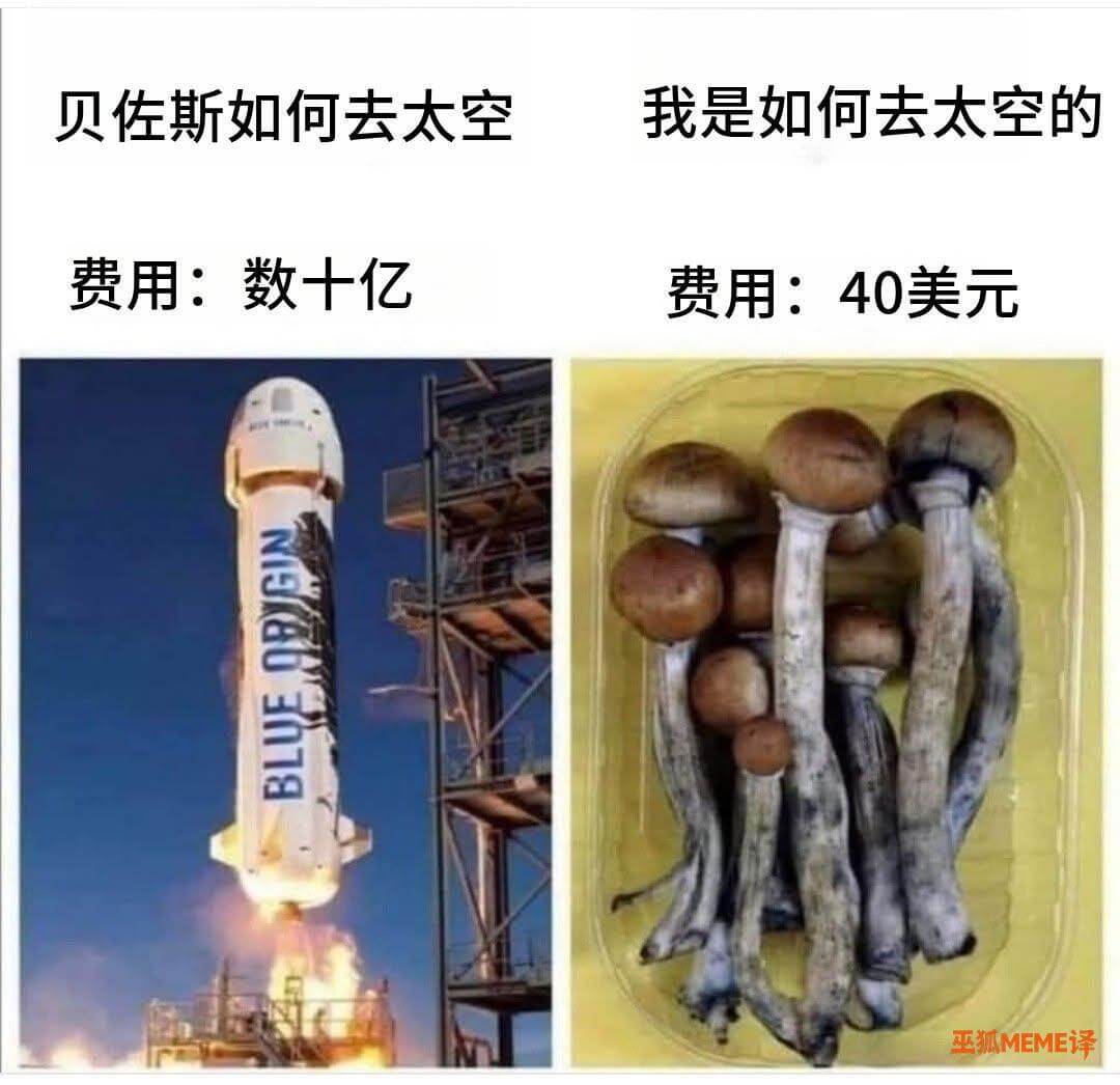贝佐斯如何去太空我是如何去太空的费用：数十亿费用：40美元巫
