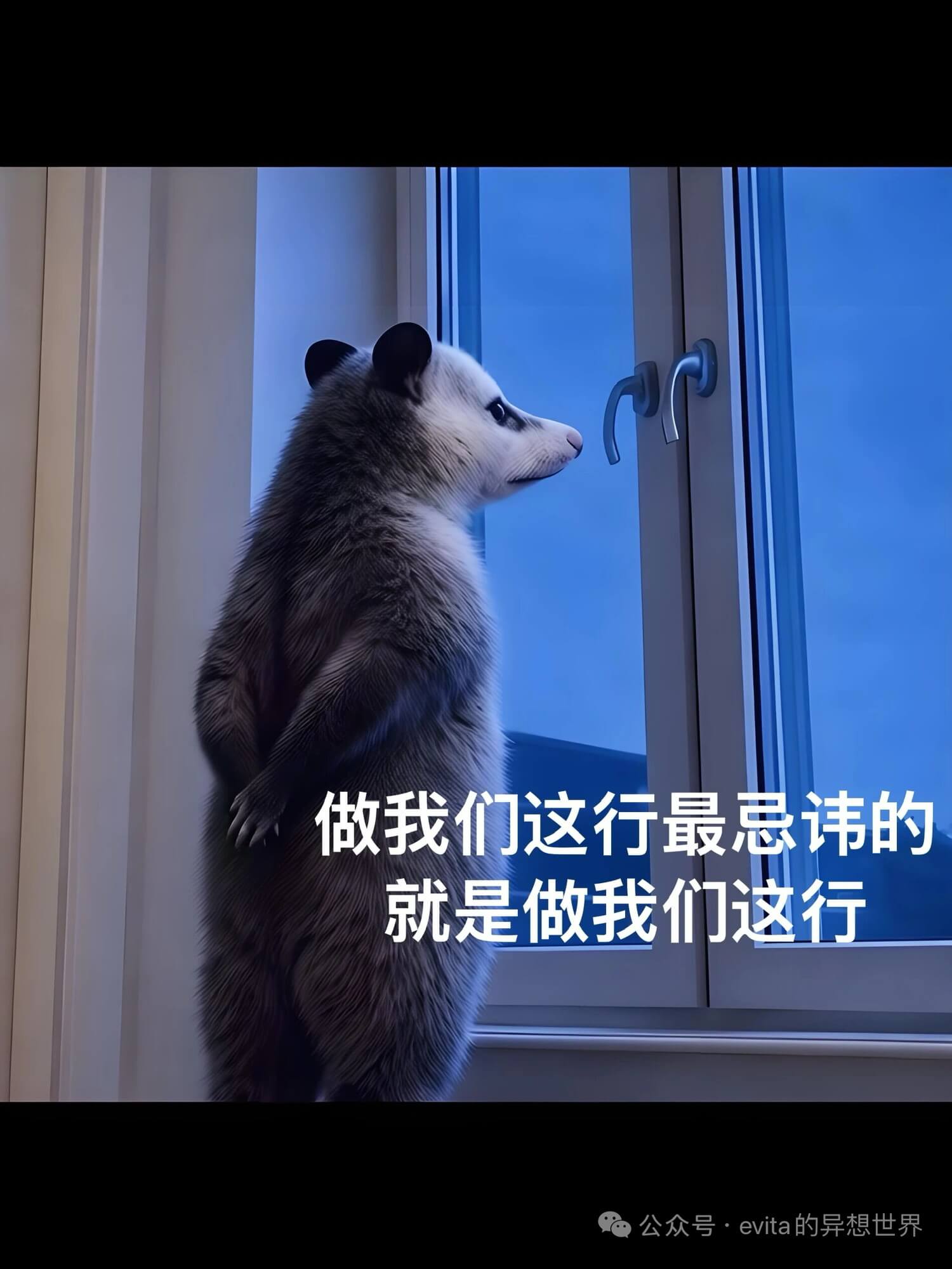 做我们这行最忌讳的就是做我们这行。公众号·evita的异想世