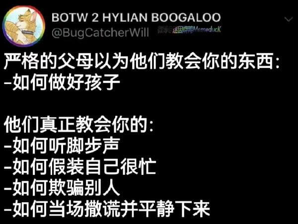 BOTW2HYLIANBOOGALOO@BugCatcher