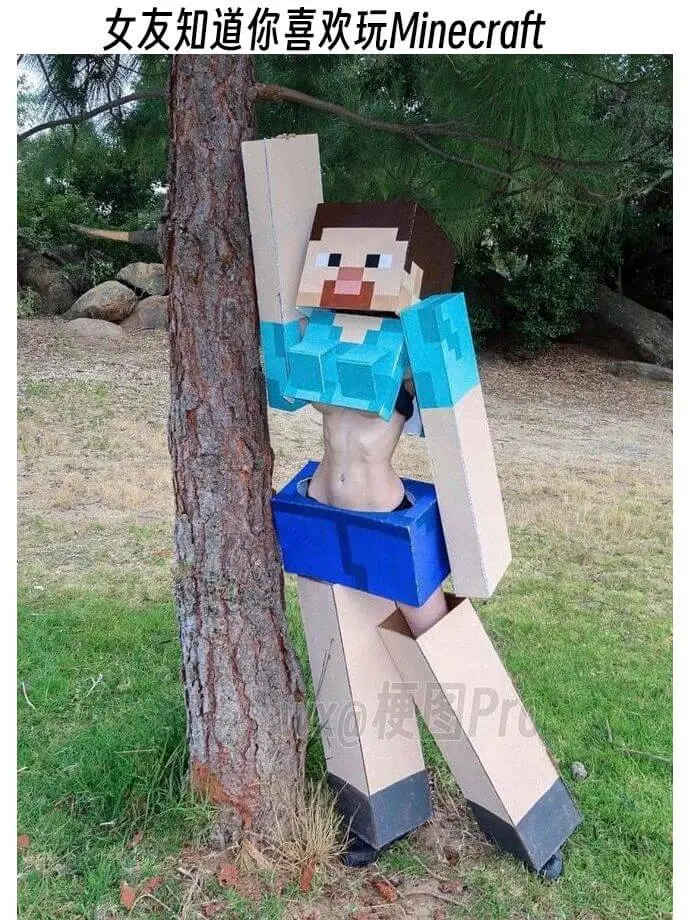 女友知道你喜欢玩MinecraftXQ梗图Pro