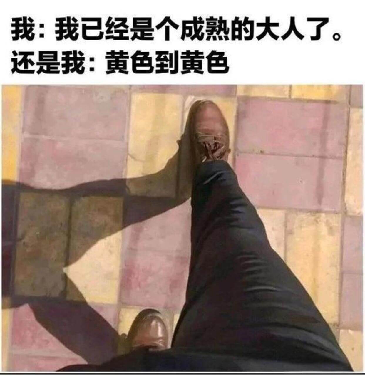 我：我已经是个成熟的大人了。还是我：黄色到黄色