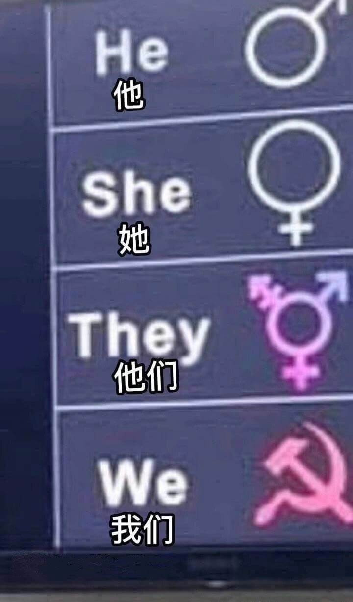 He他She她They他们We我们