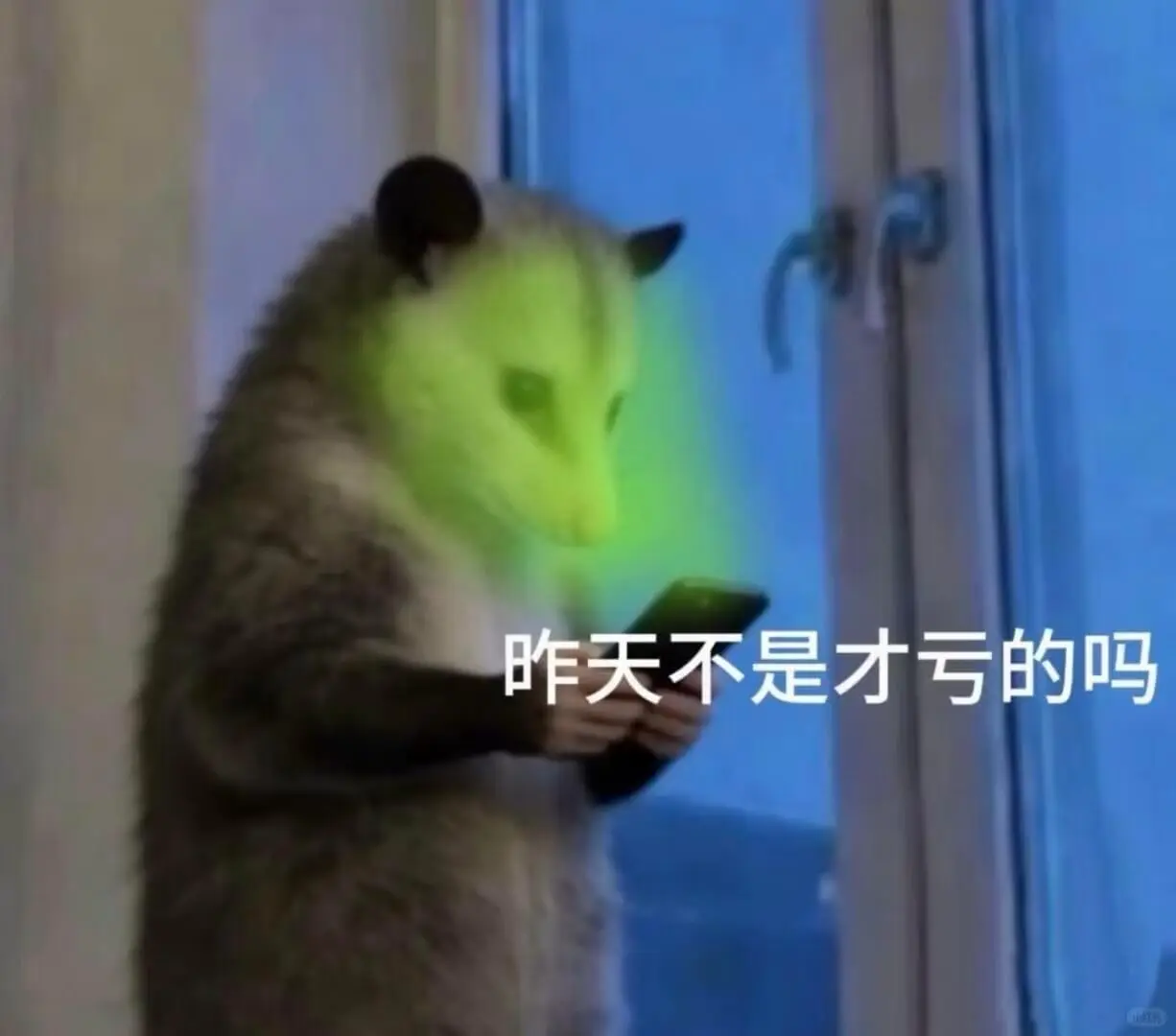 昨天不是才亏的吗