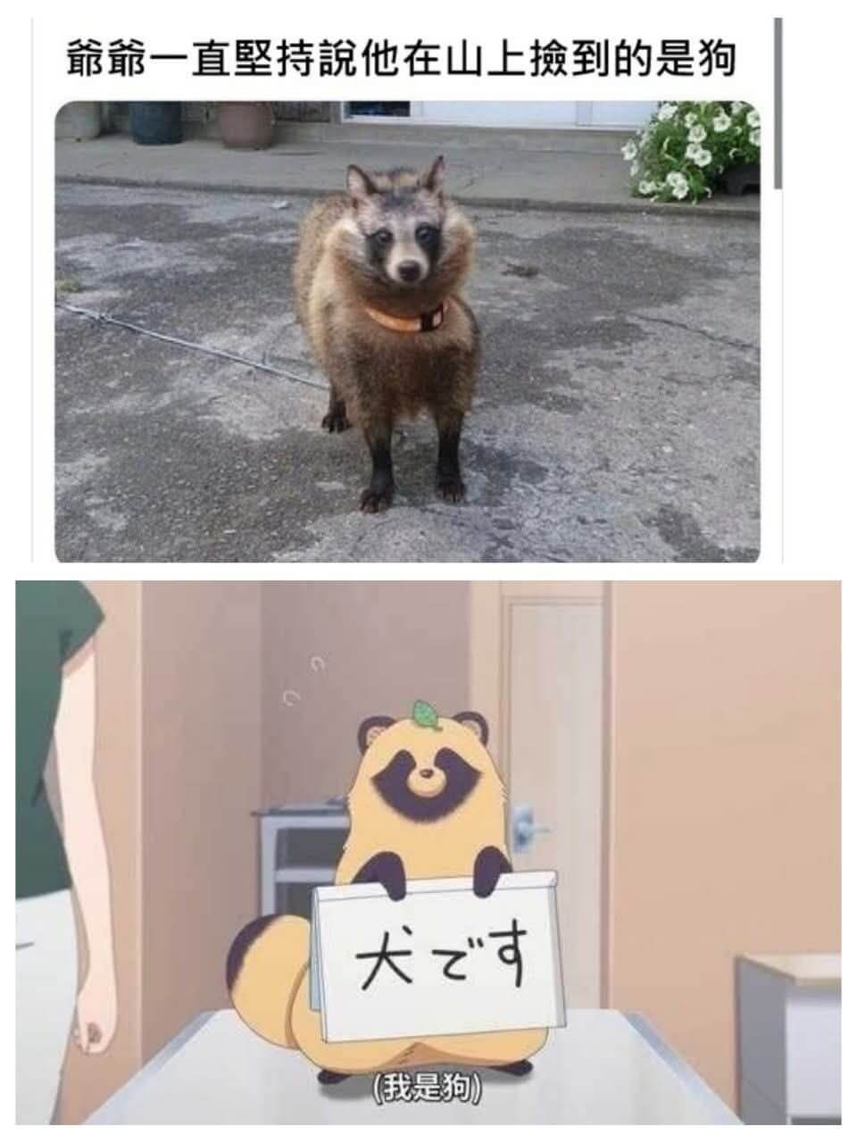 爺靠一直坚持说他在山上撤到的是狗大（我是狗）