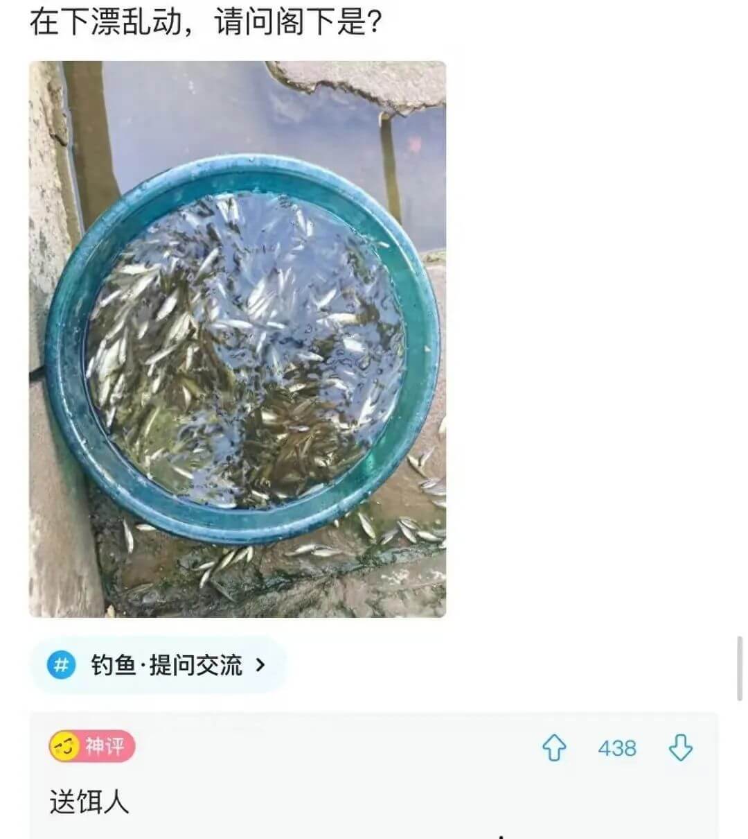在下漂乱动，请问阁下是？钓鱼提问交流神评438送饵人