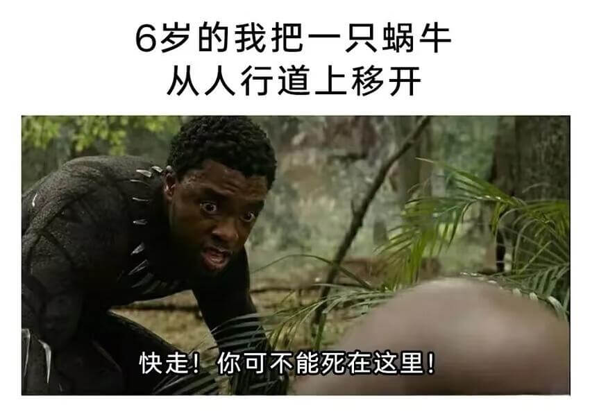 6岁的我把一只蜗牛从人行道上移开快走！你可不能死在这里！