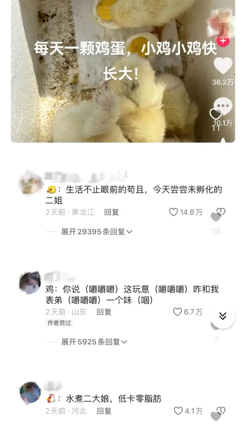 每天一颗鸡蛋，小鸡小鸡快长大!36.2万11.1万生活不止眼