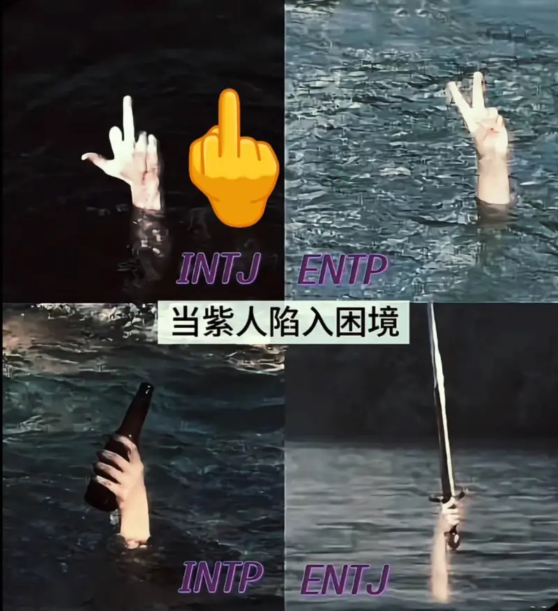 INTJENTP当紫人陷入困境INTPENTJ