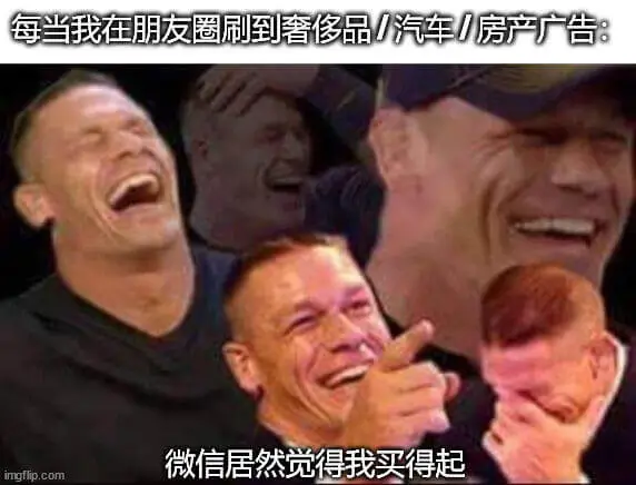 每当我在朋友圈刷到奢侈品/汽车/房产广告：微信居然觉得我买得