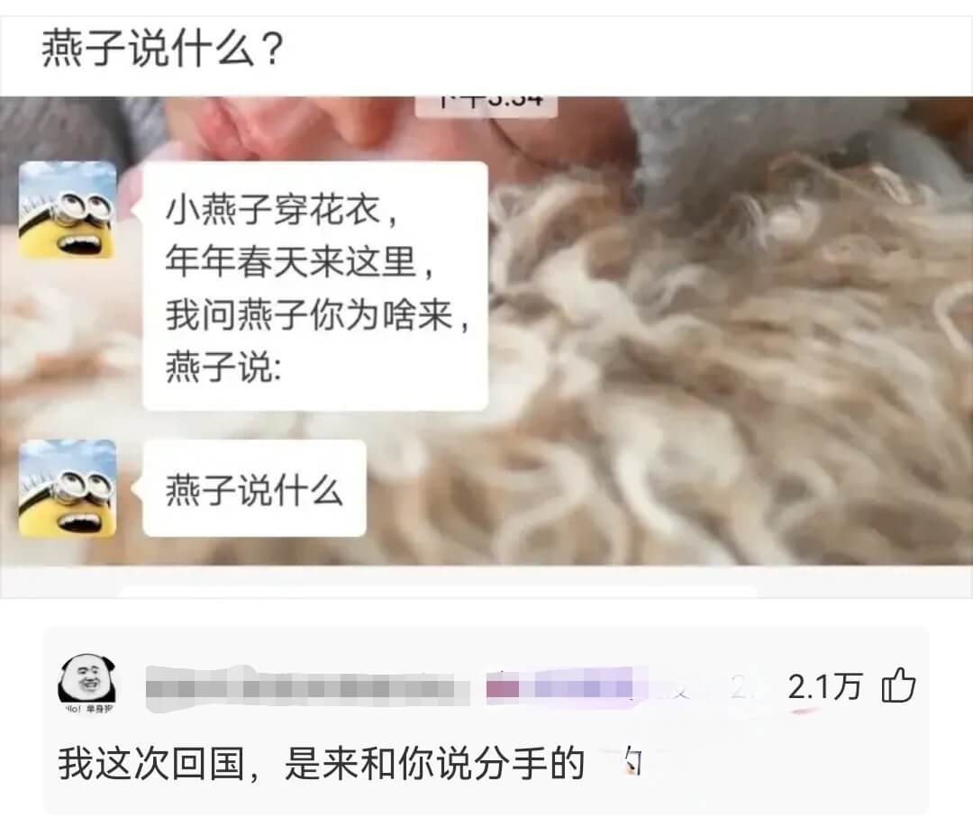 燕子说什么？小燕子穿花衣，年年春天来这里，我问燕子你为啥来燕
