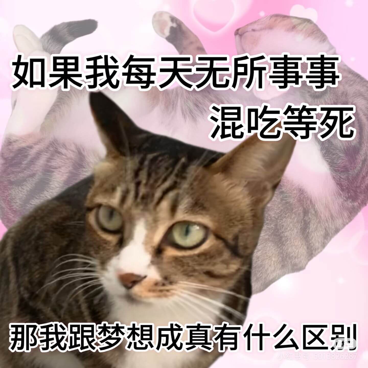 如果我每天无所事事，混吃等死，那我跟梦想成真有什么区别