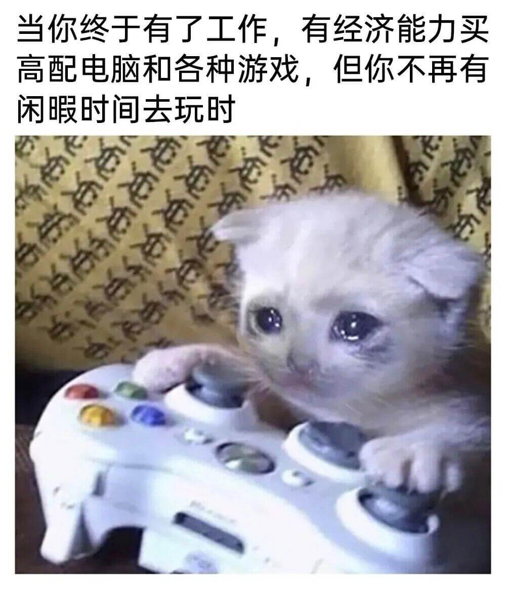 当你终于有了工作，有经济能力买高配电脑和各种游戏，但你不再有