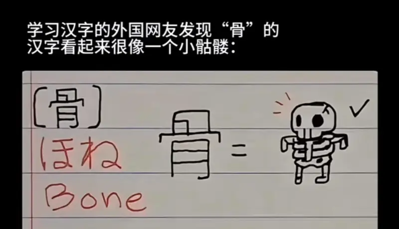 学习汉字的外国网友发现“骨”的汉字看起来很像一个小骷髅：（骨