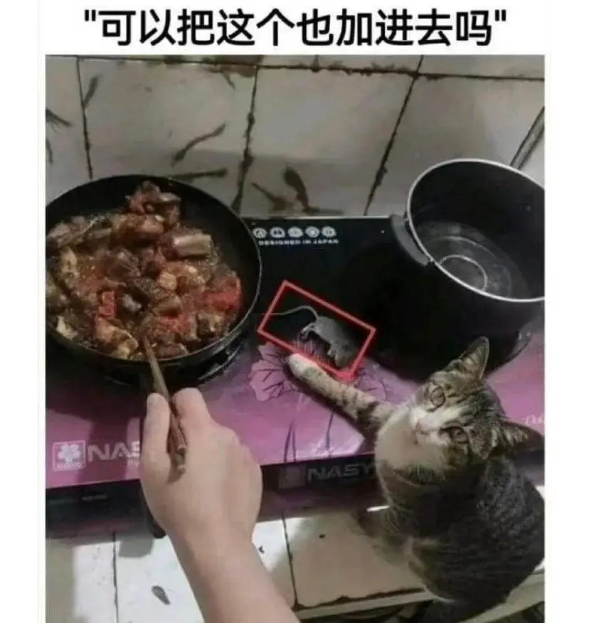 可以把这个也加进去吗NASNASY