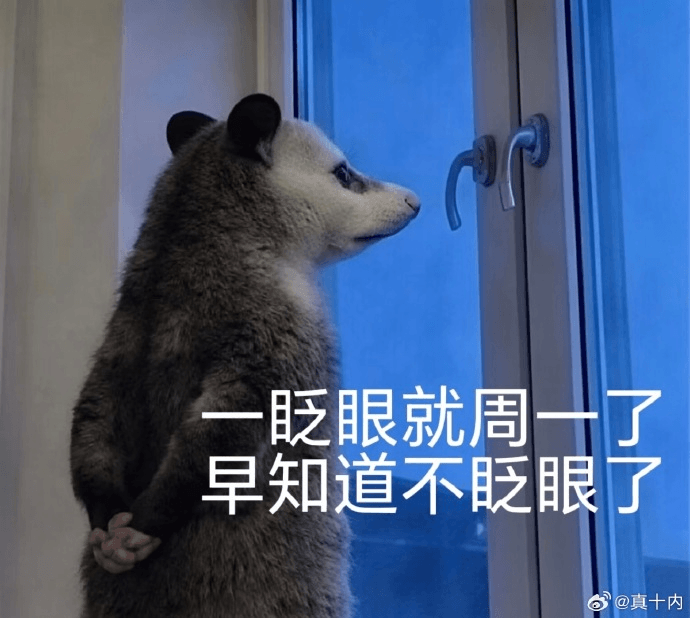 一睁眼就周末一了早知道不睁眼了@真十内