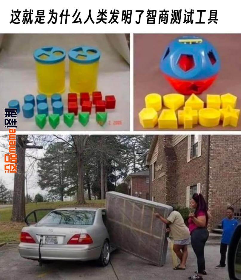 这就是为什么人类发明了智商测试工具。设品meme泽制
