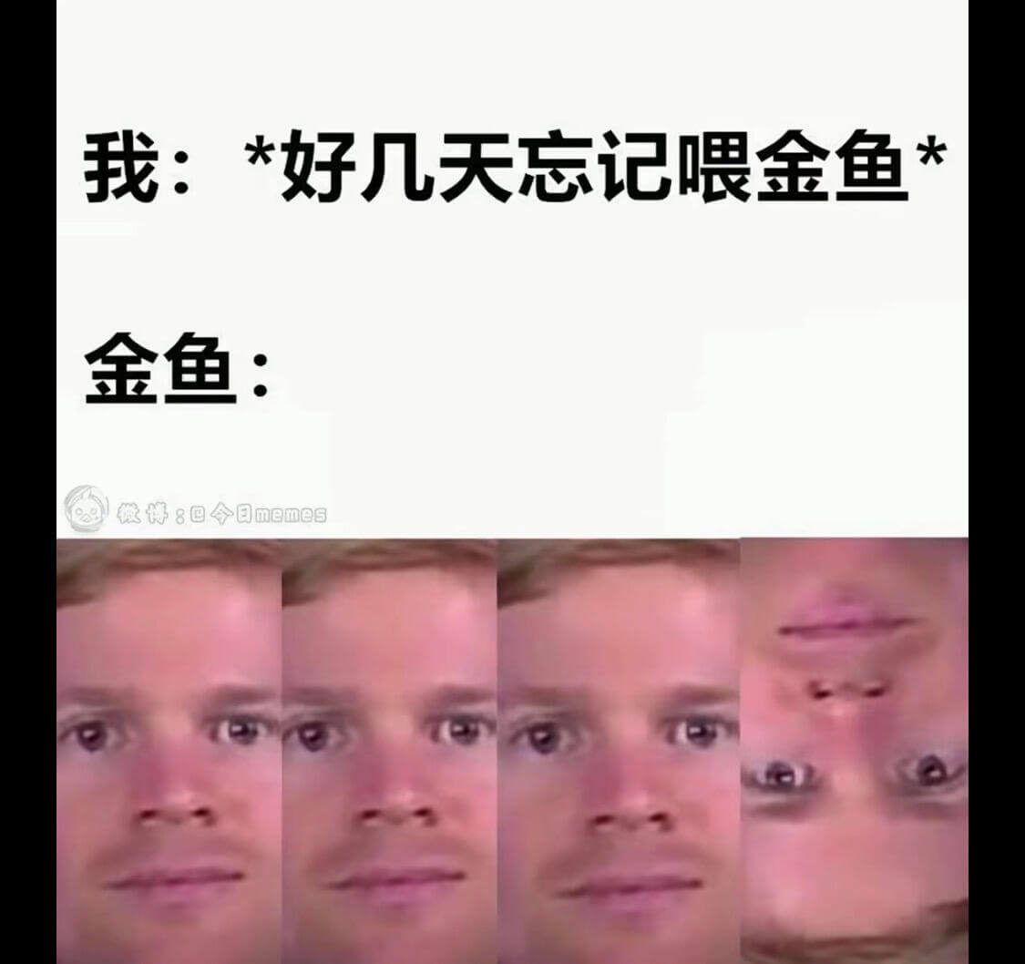 我：*好几天忘记喂金鱼金鱼：微博：今日memes