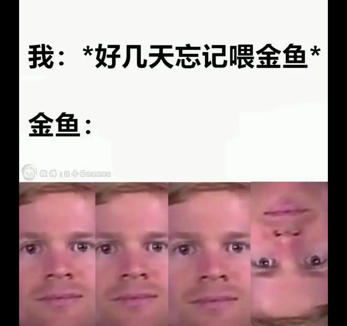 我：*好几天忘记喂金鱼金鱼：微博：今日memes