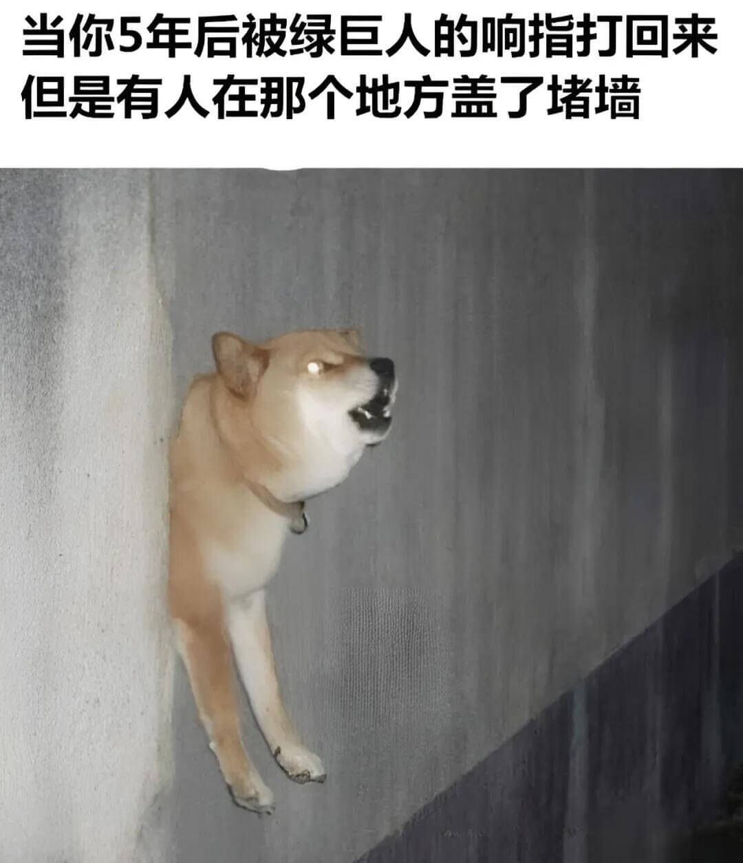 当你5年后被绿巨人的响指打回来，但是有人在那个地方盖了堵墙。