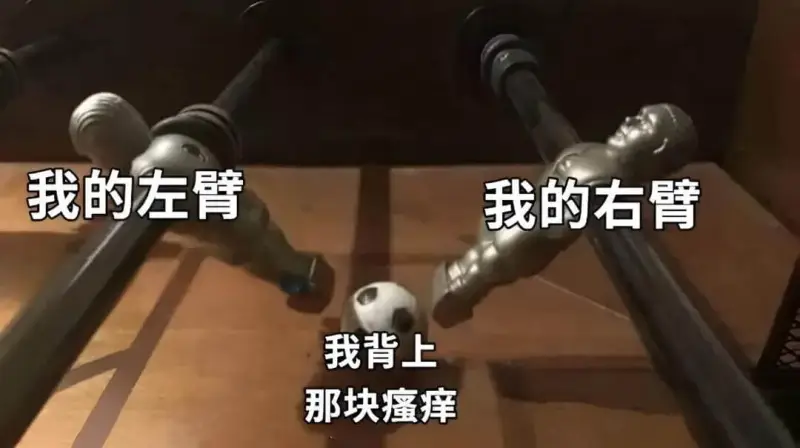 我的左臂我的右臂我背上那块瘙痒