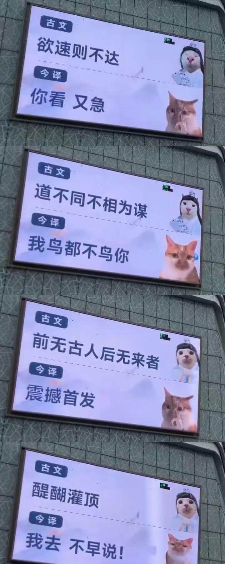 古文：欲速则不达今译：你看又急古文：道不同不相为谋今译：我鸟