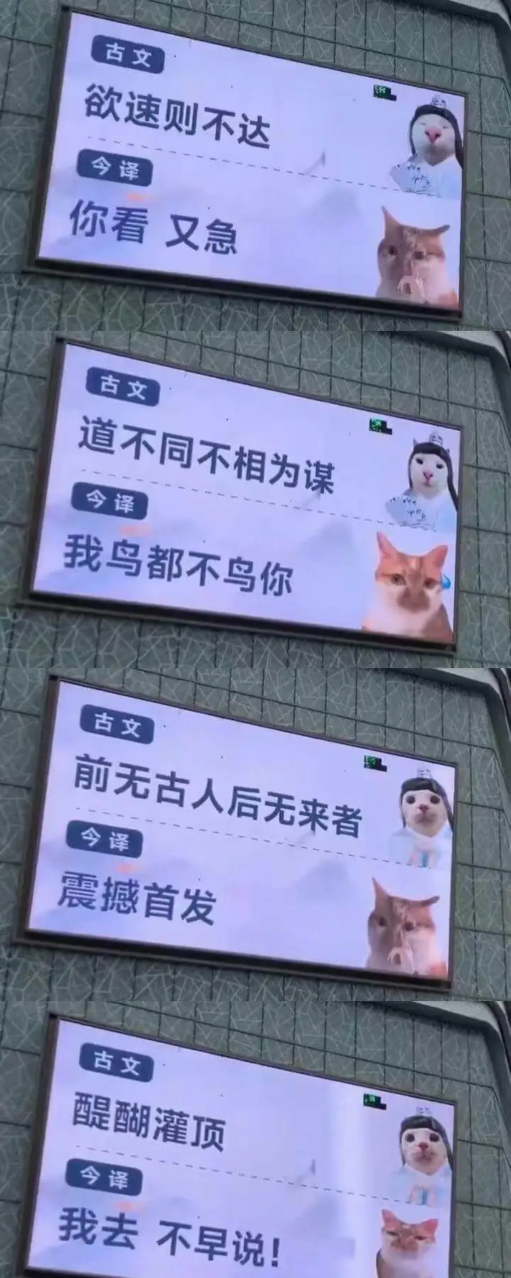 古文：欲速则不达今译：你看又急古文：道不同不相为谋今译：我鸟