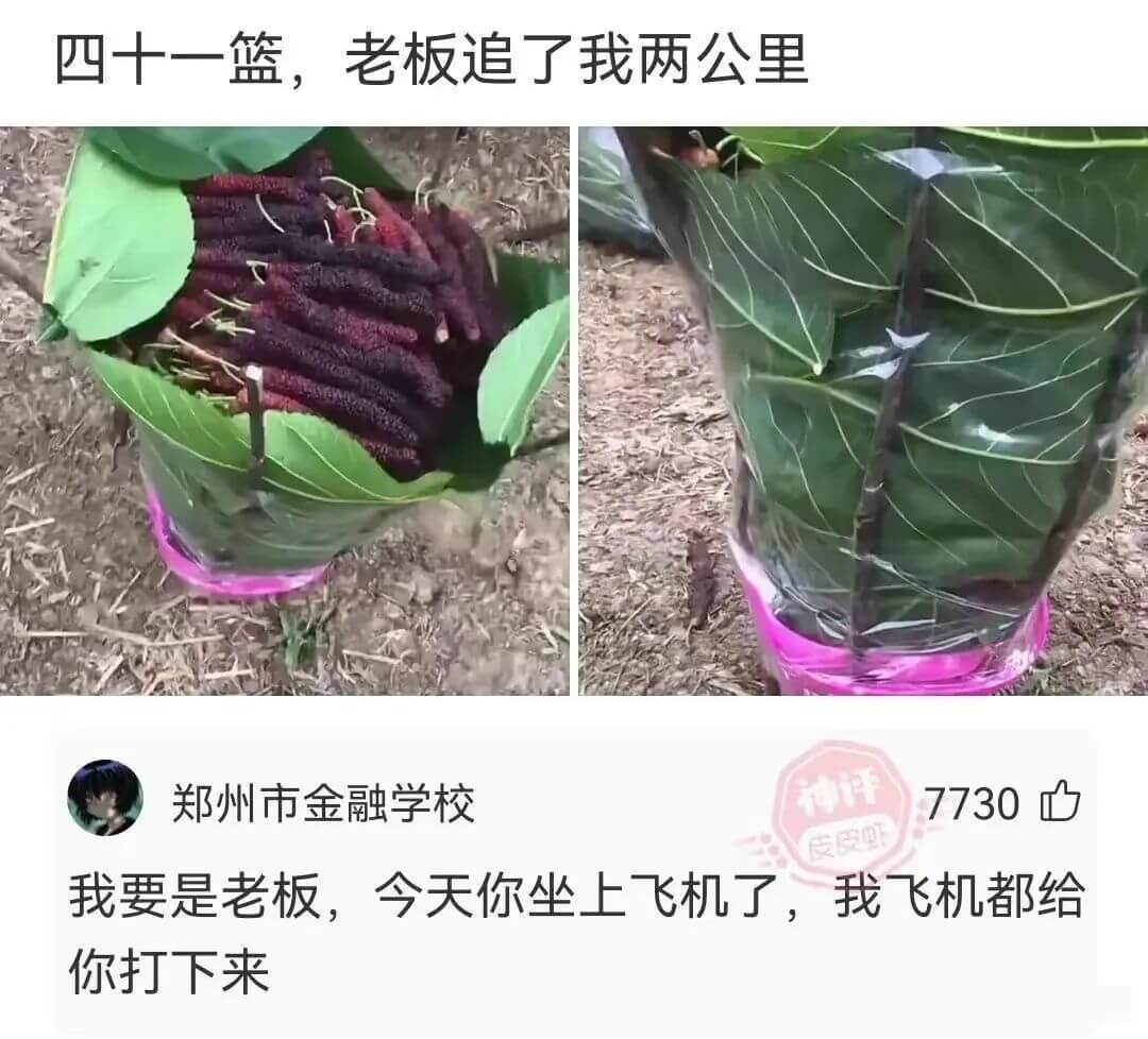四十一篮，老板追了我两公里郑州市金融学校7730我要是老板，