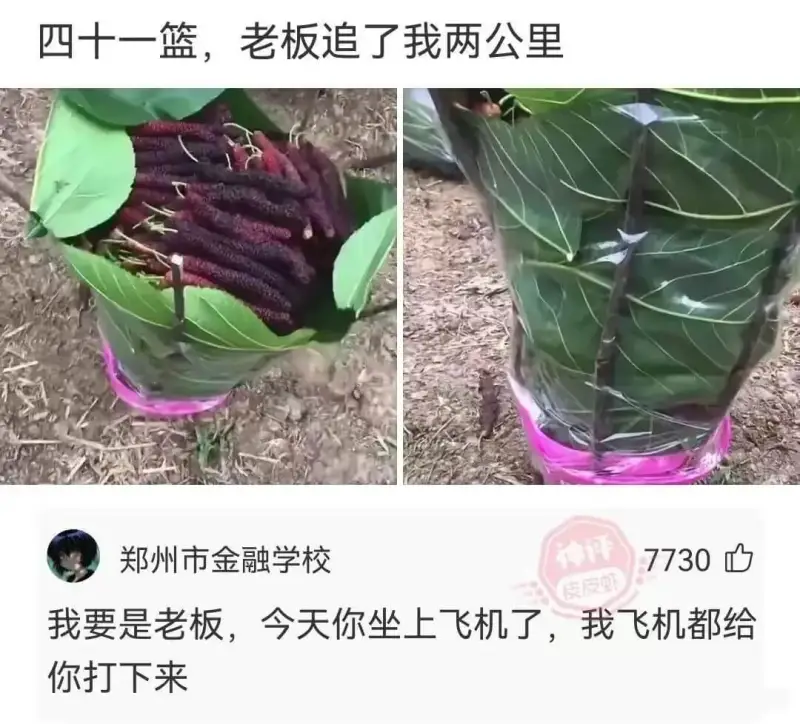 四十一篮，老板追了我两公里郑州市金融学校7730我要是老板，
