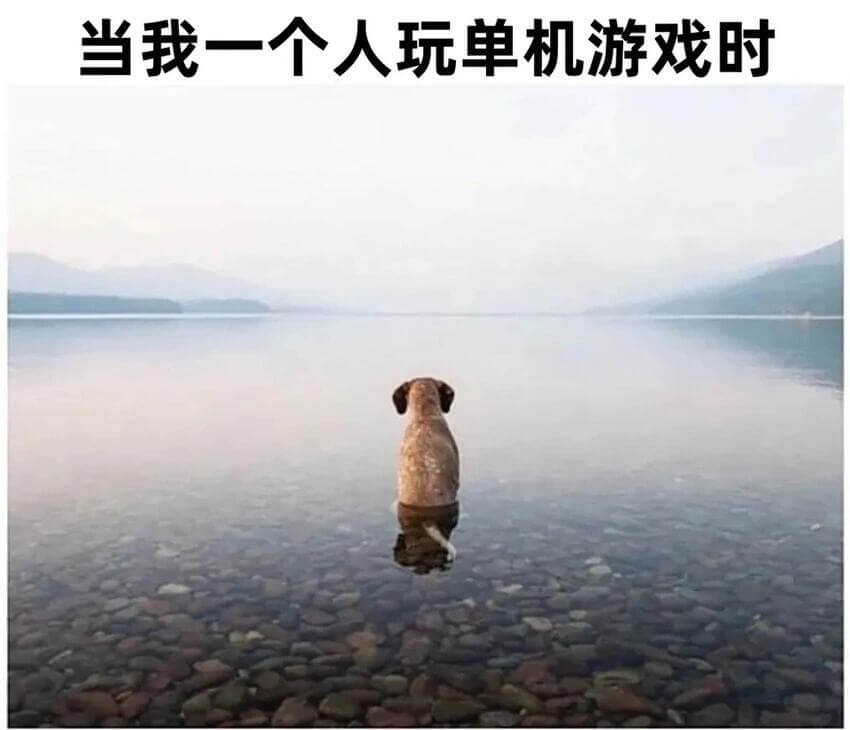 当我一个人玩单机游戏时