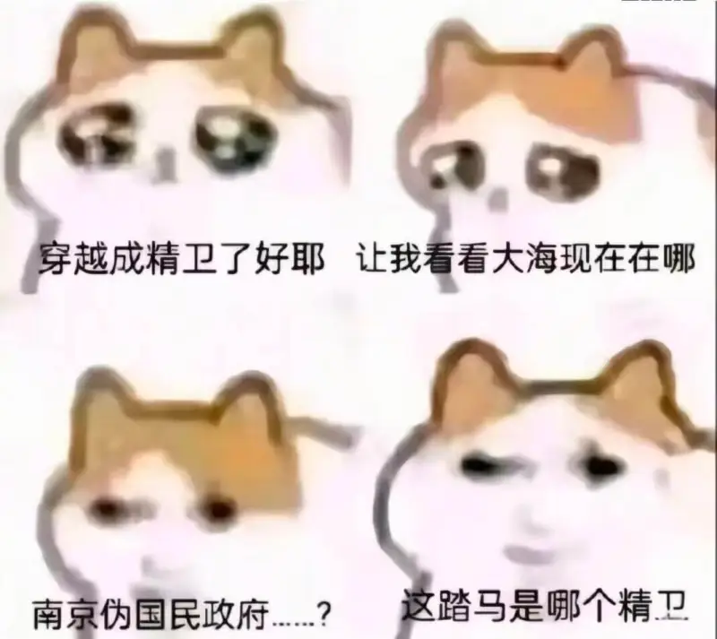 穿越成精卫了好耶让我看看大海现在在哪这踏马是哪个精卫？南京伪