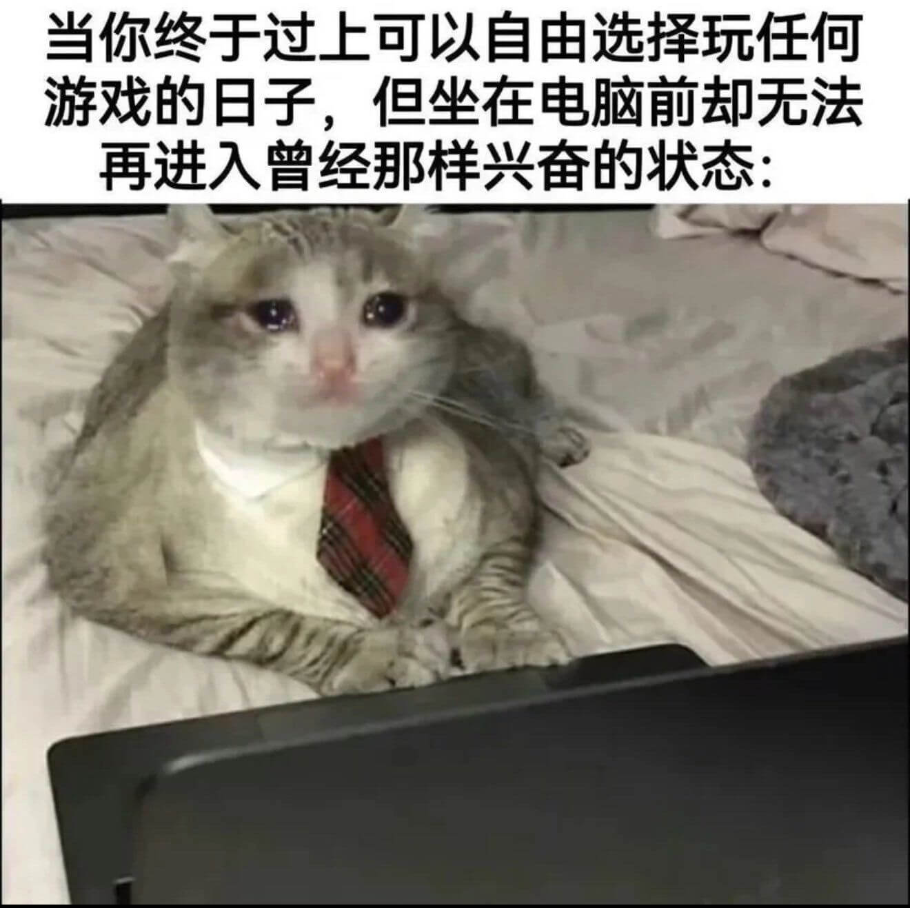 当你终于过上可以自由选择玩任何游戏的日子，但坐在电脑前却无法