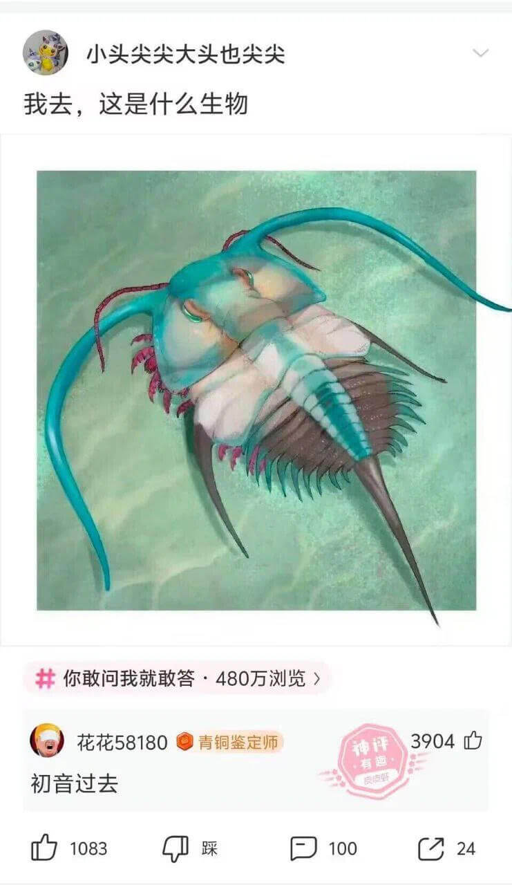 小头尖尖大头也尖尖我去，这是什么生物你敢问我就敢答·480万