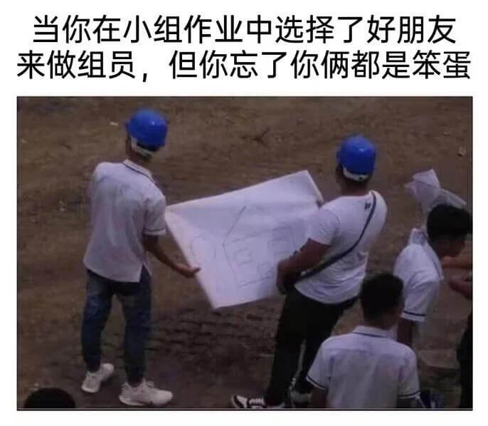 当你在小组作业中选择了好朋友来做组员，但你忘了你俩都是笨蛋